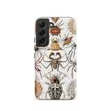 Arachnida - Ernst Haeckel Spider Taxonomy Phone Case Samsung Galaxy S22 / Matte White Phone Case Adorned Detailed Illustration Spiders