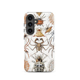 Arachnida - Ernst Haeckel Spider Taxonomy Phone Case Samsung Galaxy S24 / Matte White Phone Case Adorned Detailed Illustration Spiders