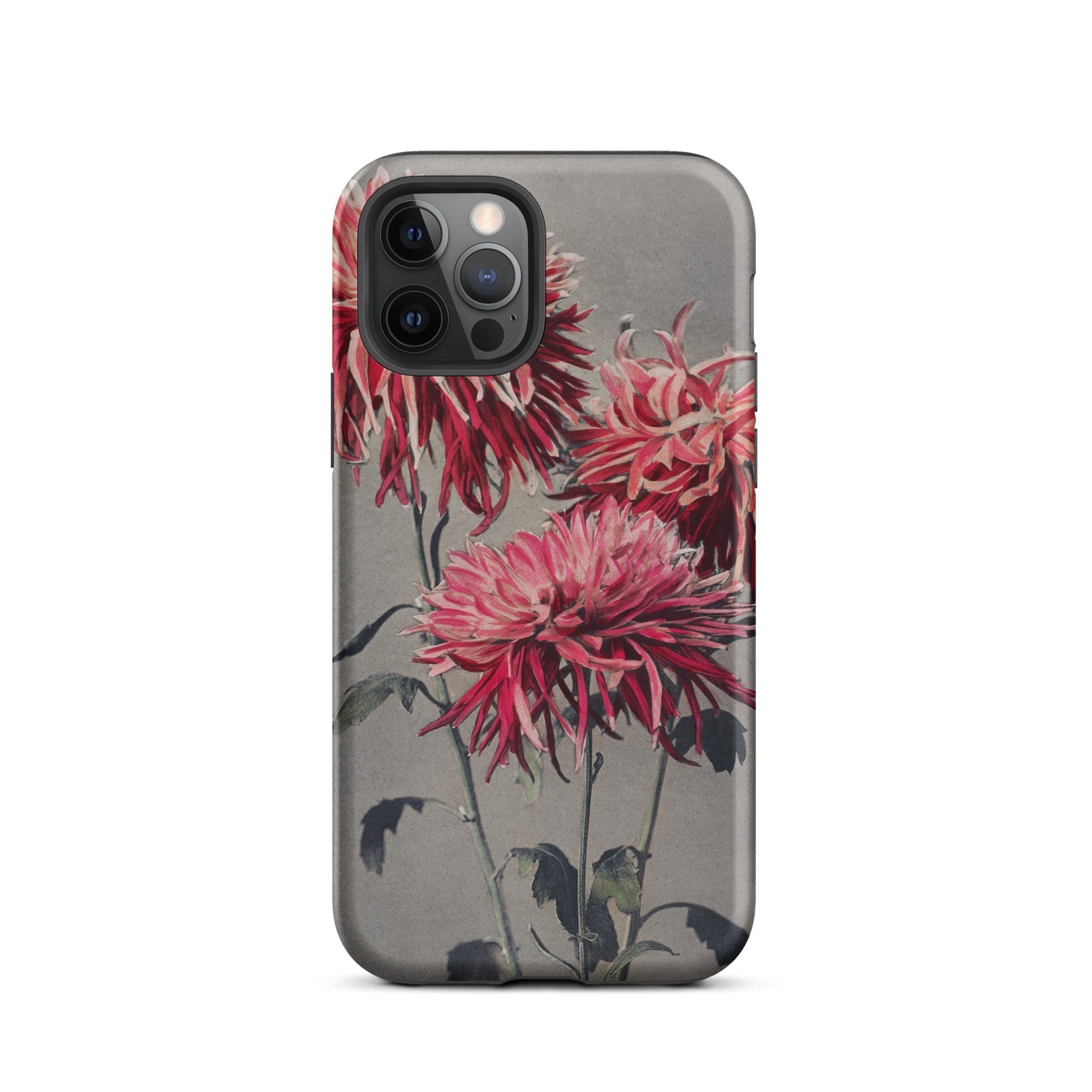 Asa–dsuma–bune Ogawa Kazumasa Floral Iphone Case, 12 Pro / Matte, Floral Patterned Phone Case