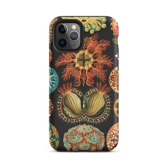 Ascidiae Sea Squirts - Ernst Haeckel Custodia Iphone, 11 Pro / Opaco, Custodie per telefoni cellulari, Toby Leon