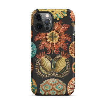 Ascidiae Sea Squirts - Ernst Haeckel Custodia Iphone, 12 Pro Max / Opaco, Custodie per Cellulari, Toby Leon