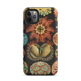 Ascidiae Sea Squirts - Ernst Haeckel Phone Case Iphone 11 Pro Max / Matte Botanical-themed Phone Case Ernst Haeckel Case, Gelatinous Lobes,