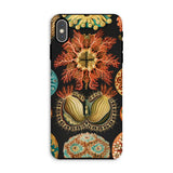 Ascidiae Sea Squirts - Ernst Haeckel Phone Case Iphone Xs Max / Matte Floral-patterned Phone Case Ernst Haeckel Case, Gelatinous Lobes,