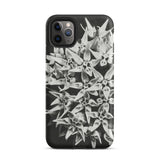 Asclepias Speciosa - Karl Blossfeldt Phone Case, Iphone 11 Pro Max / Matte, Mobile Cases, Toby Leon