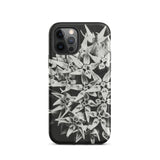 Asclepias Speciosa - Karl Blossfeldt Phone Case, Iphone 12 Pro / Matte, Mobile Cases, Toby Leon