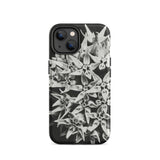 Asclepias Speciosa - Karl Blossfeldt Phone Case, Iphone 14 / Matte, Mobile Cases, Toby Leon