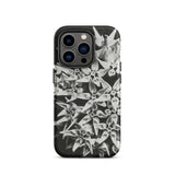 Asclepias Speciosa - Karl Blossfeldt Phone Case, Iphone 14 Pro / Matte, Mobile Cases, Toby Leon