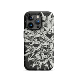 Asclepias Speciosa - Karl Blossfeldt Phone Case, Iphone 15 Pro / Matte, Mobile Cases, Toby Leon