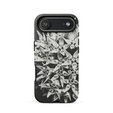 Asclepias Speciosa - Karl Blossfeldt Phone Case, Iphone 17 Air / Matte, Mobile Cases, Toby Leon
