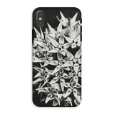 Asclepias Speciosa - Karl Blossfeldt Phone Case, Iphone Xs / Matte, Mobile Cases, Toby Leon