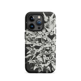 Asclepias Speciosa - Karl Blossfeldt Phone Case Iphone 15 Pro / Matte Black Phone Case Floral Design Karl Blossfeldt Photo, Monochrome