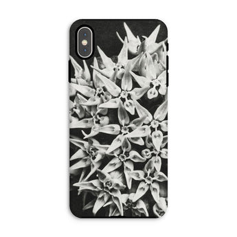Asclepias Speciosa - Karl Blossfeldt Phone Case Iphone Xs Max / Matte Phone Case Black White Photograph Clustered Star-shaped Flowers Karl