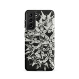 Asclepias Speciosa - Karl Blossfeldt Phone Case Samsung Galaxy S21 / Matte Black White Floral Phone Case Dense Cluster Star-shaped Karl