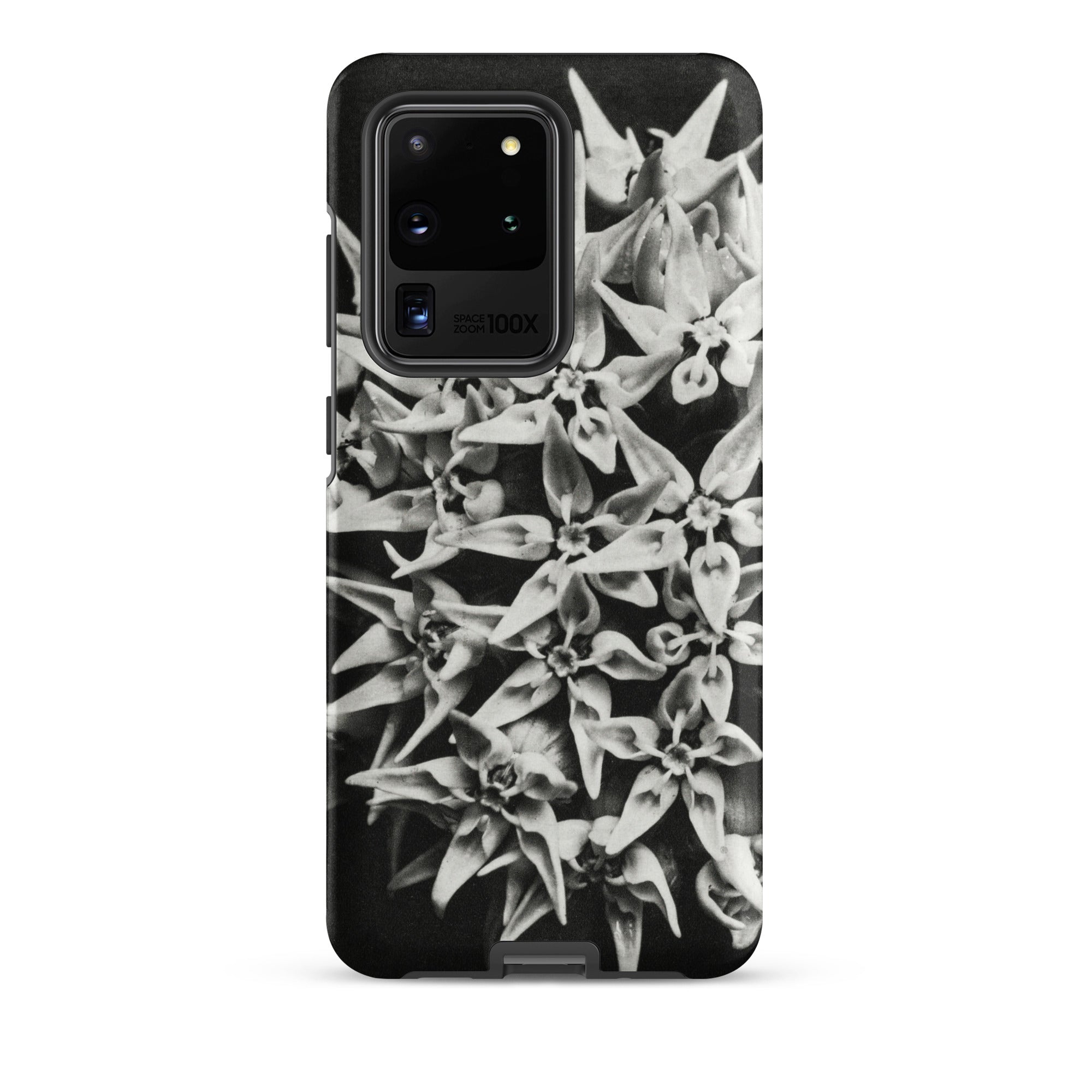 Asclepias Speciosa - Karl Blossfeldt Samsung Case, Galaxy S20 Ultra / Matte, Black White Floral Patterned Smartphone Case