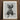 Framed Black-and-white Pencil Detailed Closed Flower Bud Textured Karl Blossfeldt, Asclepias Syriaca, Otherworldly Sculpture