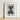 Minimalist Black-and-white Framed Art Print Detailed Pencil Sketch Karl Blossfeldt, Asclepias Syriaca, Otherworldly Sculpture