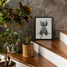 Asclepias Syriaca (common Milkweed) - Karl Blossfeldt Art Print, Framed Black White Artwork Stylized Flower Plant Form