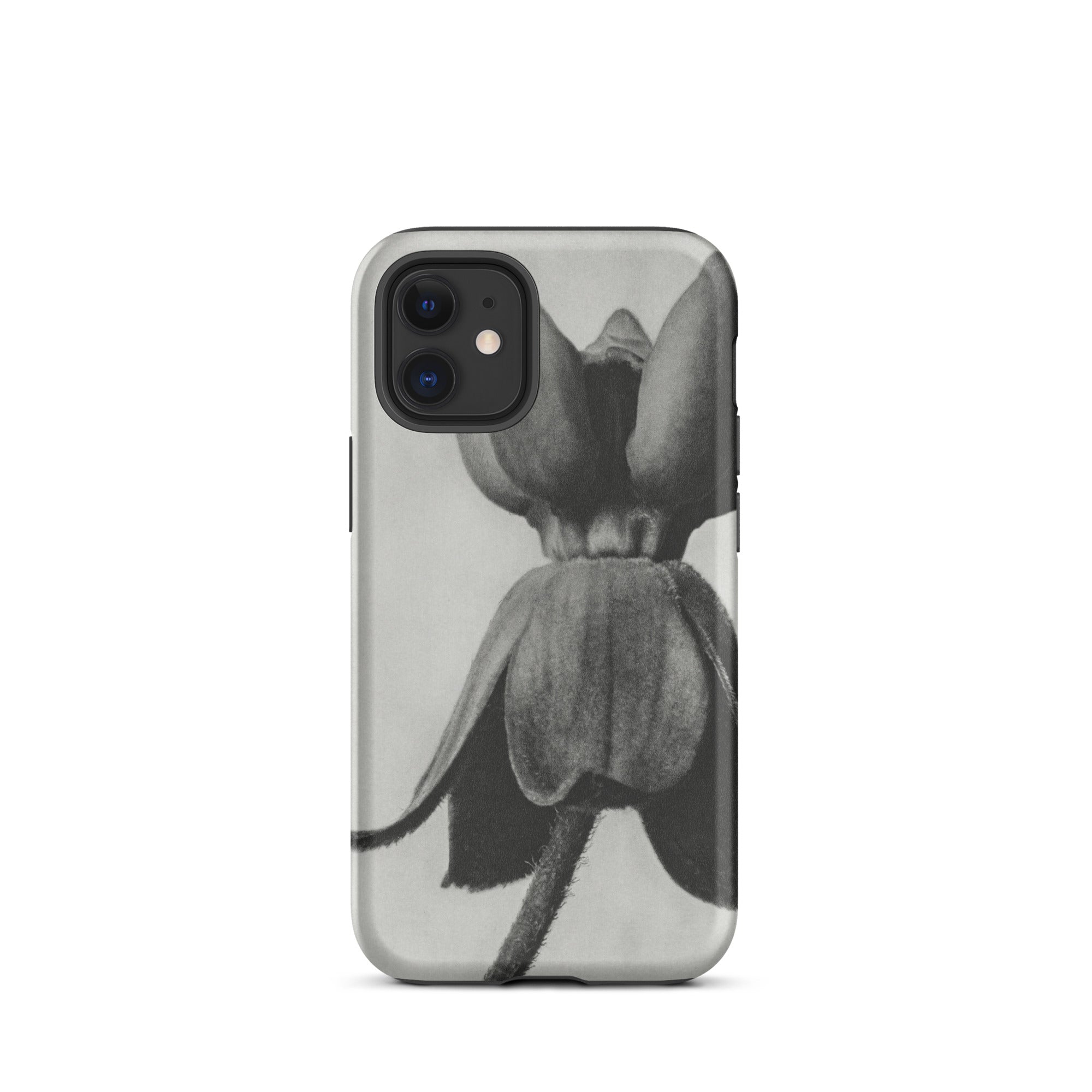 Asclepias Syriaca (common Milkweed) - Karl Blossfeldt Iphone Case, 12 Mini / Matte, Black White Floral Phone Case