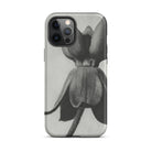 Asclepias Syriaca (common Milkweed) - Karl Blossfeldt Iphone Case, 12 Pro Max / Matte, Black White Floral Phone Case