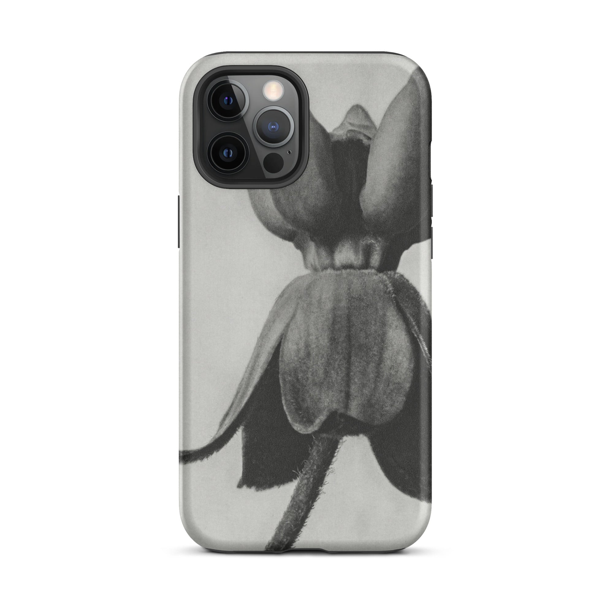 Asclepias Syriaca (common Milkweed) - Karl Blossfeldt Iphone Case, 12 Pro Max / Matte, Black White Floral Phone Case