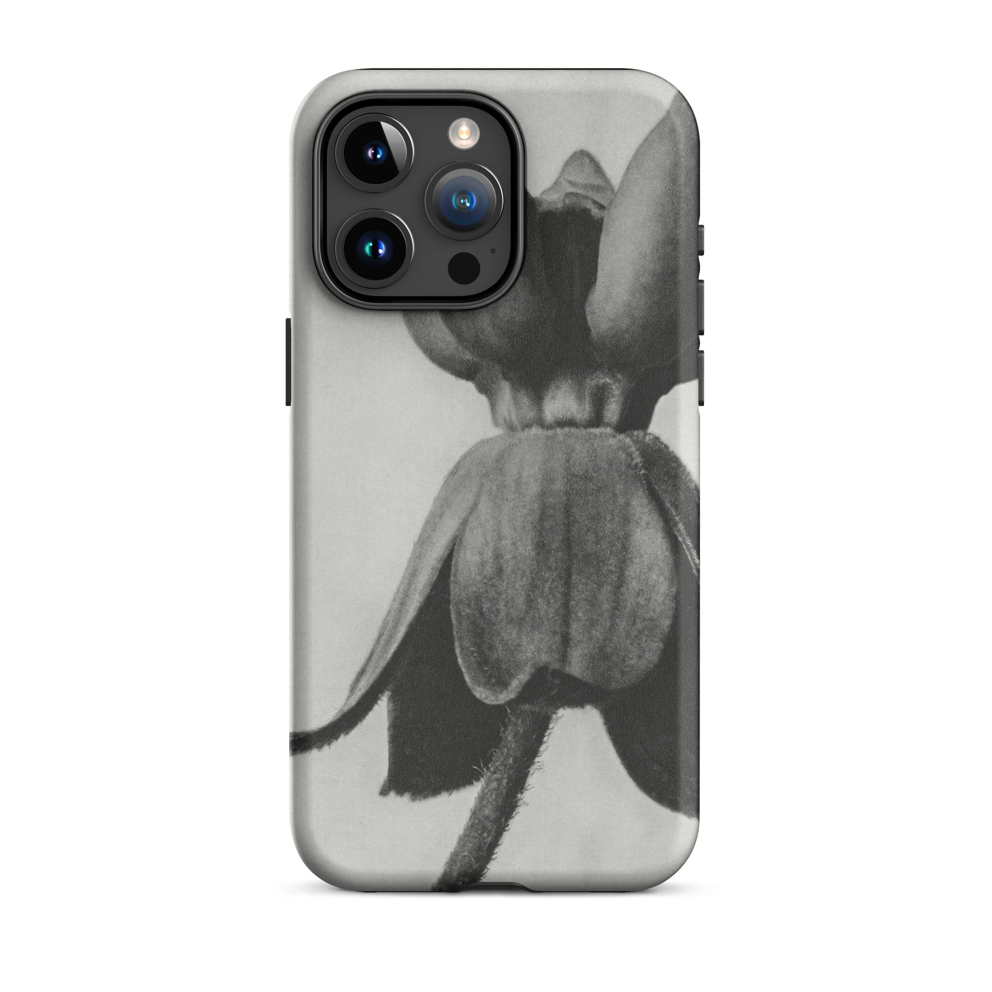 Asclepias Syriaca (common Milkweed) - Karl Blossfeldt Iphone Case, 15 Pro Max / Matte, Black White Floral Phone Case