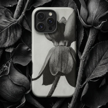 Asclepias Syriaca (common Milkweed) - Karl Blossfeldt Iphone Case, Mobile Phone Cases, Toby Leon