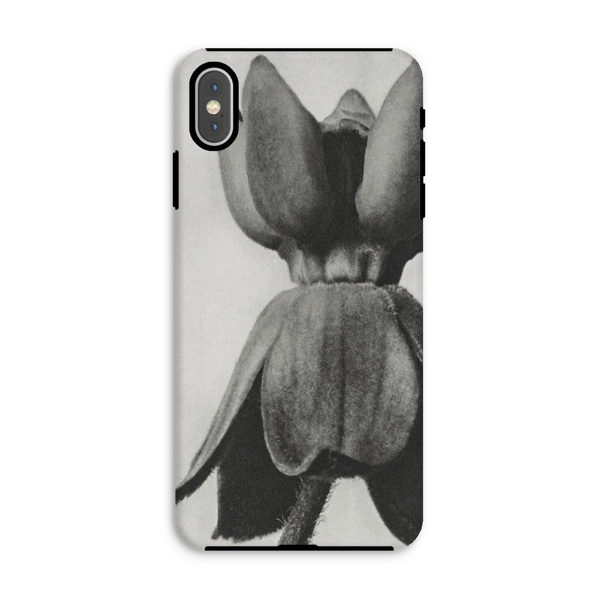 Asclepias Syriaca (common Milkweed) - Karl Blossfeldt Iphone Case, Xs Max / Matte, Phone Case Black White Photograph Tulip Flower