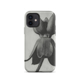 Asclepias Syriaca (common Milkweed) - Karl Blossfeldt Phone Case Iphone 12 / Matte Black White Floral Phone Case Karl Blossfeldt, Asclepias