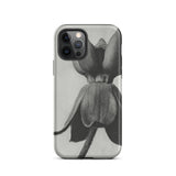Asclepias Syriaca (common Milkweed) - Karl Blossfeldt Phone Case Iphone 12 Pro / Matte Black White Floral Phone Case Karl Blossfeldt,