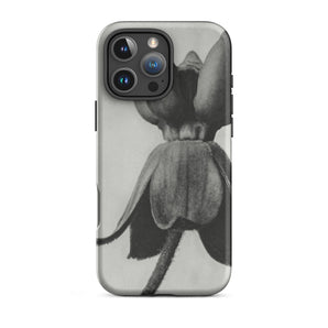 Asclepias Syriaca (common Milkweed) - Karl Blossfeldt Phone Case, Karl Blossfeldt, Asclepias Syriaca, Mesmerizing Asclepias Syriaca