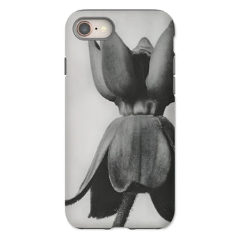 Asclepias Syriaca (common Milkweed) - Karl Blossfeldt Phone Case Iphone 8 / Matte Phone Case Black White Photograph Tulip Flower Karl