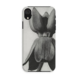 Asclepias Syriaca (common Milkweed) - Karl Blossfeldt Phone Case Iphone Xr / Matte Phone Case Black White Photograph Tulip Flower Karl