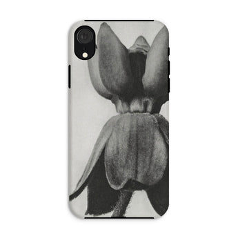 Asclepias Syriaca (common Milkweed) - Karl Blossfeldt Phone Case Iphone Xr / Matte Phone Case Black White Photograph Tulip Flower Karl