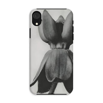 Asclepias Syriaca (common Milkweed) - Karl Blossfeldt Phone Case Iphone Xr / Matte Phone Case Black White Photograph Tulip Flower Karl