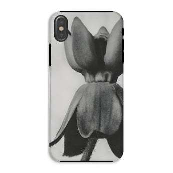 Asclepias Syriaca (common Milkweed) - Karl Blossfeldt Phone Case Iphone Xs / Matte Phone Case Black White Photograph Tulip Flower Karl