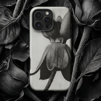 Asclepias Syriaca (common Milkweed) - Karl Blossfeldt Phone Case Sleek Minimalist Phone Case Monochrome Botanical Print Orchid Karl
