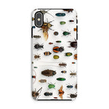 Assorted Coleoptera - Tassonomia dei coleotteri Custodia per iPhone, Xs Max / Opaco, Custodie per telefono, Toby Leon