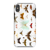 Falene assortite - Custodia per iPhone con tassonomia di creature volanti, Xs / Opaca, Custodie per cellulari, Toby Leon