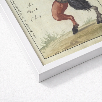 Framed Vintage-style Illustration Horse Reddish-brown Legs Dark Mane Demonology Art Print, Grim Grimoire Hand, Ember Eyes Track