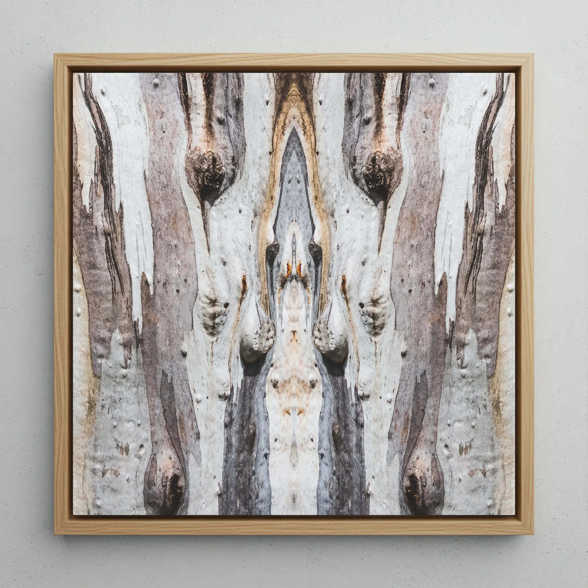 Barking Mad 3 - Tree Trunk Op Art Framed Canvas, 12x12’’ / 31x31cm / Natural Floating Frame, Framed Square Canvas Print Symmetrical