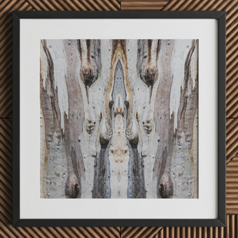 Barking Mad 3 - Trippy Tree Trunk Art Print / Canvas, 12x12’’ / 31x31cm / Black Frame / Matboard, Posters Prints & Visual Artwork, Toby Leon