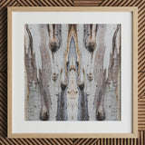Barking Mad 3 - Trippy Tree Trunk Art Print / Canvas, 12x12’’ / 31x31cm / Natural Frame / Matboard, Posters Prints & Visual Artwork, Toby