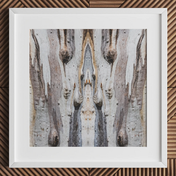 Barking Mad 3 - Trippy Tree Trunk Art Print / Canvas, 12x12’’ / 31x31cm / White Frame / Matboard, Posters Prints & Visual Artwork, Toby Leon