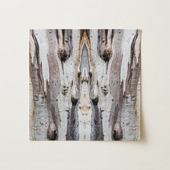 Barking Mad 3 - Trippy Tree Trunk Art Print / Canvas, 12x12’’ / 31x31cm / Unframed / no Border, Posters Prints & Visual Artwork, Toby Leon