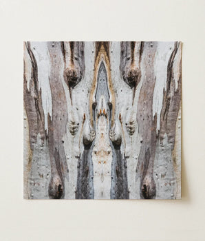Abstract Symmetrical Artwork Mirrored Textured Bark Pattern Muted Barking Mad’s Striking Symmetry, Trippy Tree Trunk, Presents