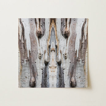 Barking Mad 3 - Trippy Tree Trunk Art Print / Canvas, Barking Mad’s Striking Symmetry, Trippy Tree Trunk, Striking Symmetry Presents