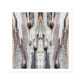 Barking Mad 3 - Trippy Tree Trunk Art Print / Canvas Mirrored Pattern Bark Natural Textures Striations Mad’s Striking Symmetry, Presents