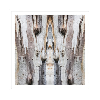 Barking Mad 3 - Trippy Tree Trunk Art Print / Canvas Mirrored Pattern Bark Natural Textures Striations Mad’s Striking Symmetry, Presents