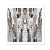 Barking Mad 3 - Trippy Tree Trunk Art Print / Canvas, Barking Mad’s Striking Symmetry, Trippy Tree Trunk, Striking Symmetry Presents