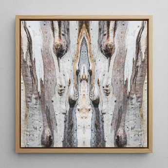 Barking Mad 3 - Trippy Tree Trunk Art Print / Canvas, Barking Mad’s Striking Symmetry, Trippy Tree Trunk, Striking Symmetry Presents